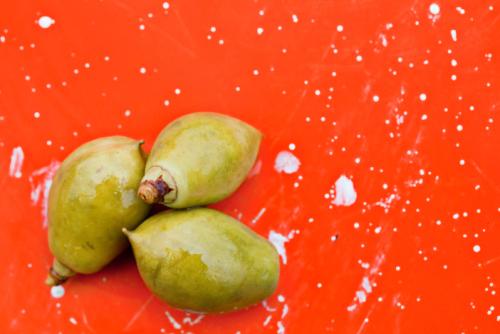 >Delikatessen der blev til ved en fejl